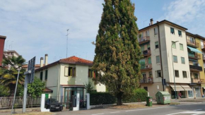  Ever Green  Mestre